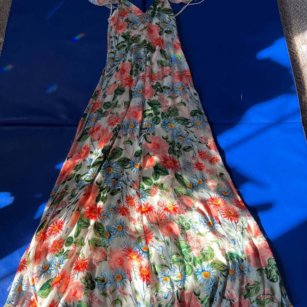 Alice + Olivia Silk Blend Floral Maxi Dress Embroidered Burnout Gown